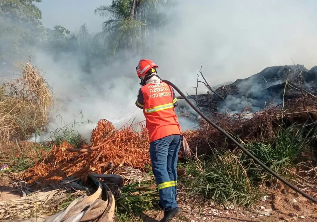 Bombeiros combatem oito incêndios florestais e monitoram áreas atingidas em Mato Grosso