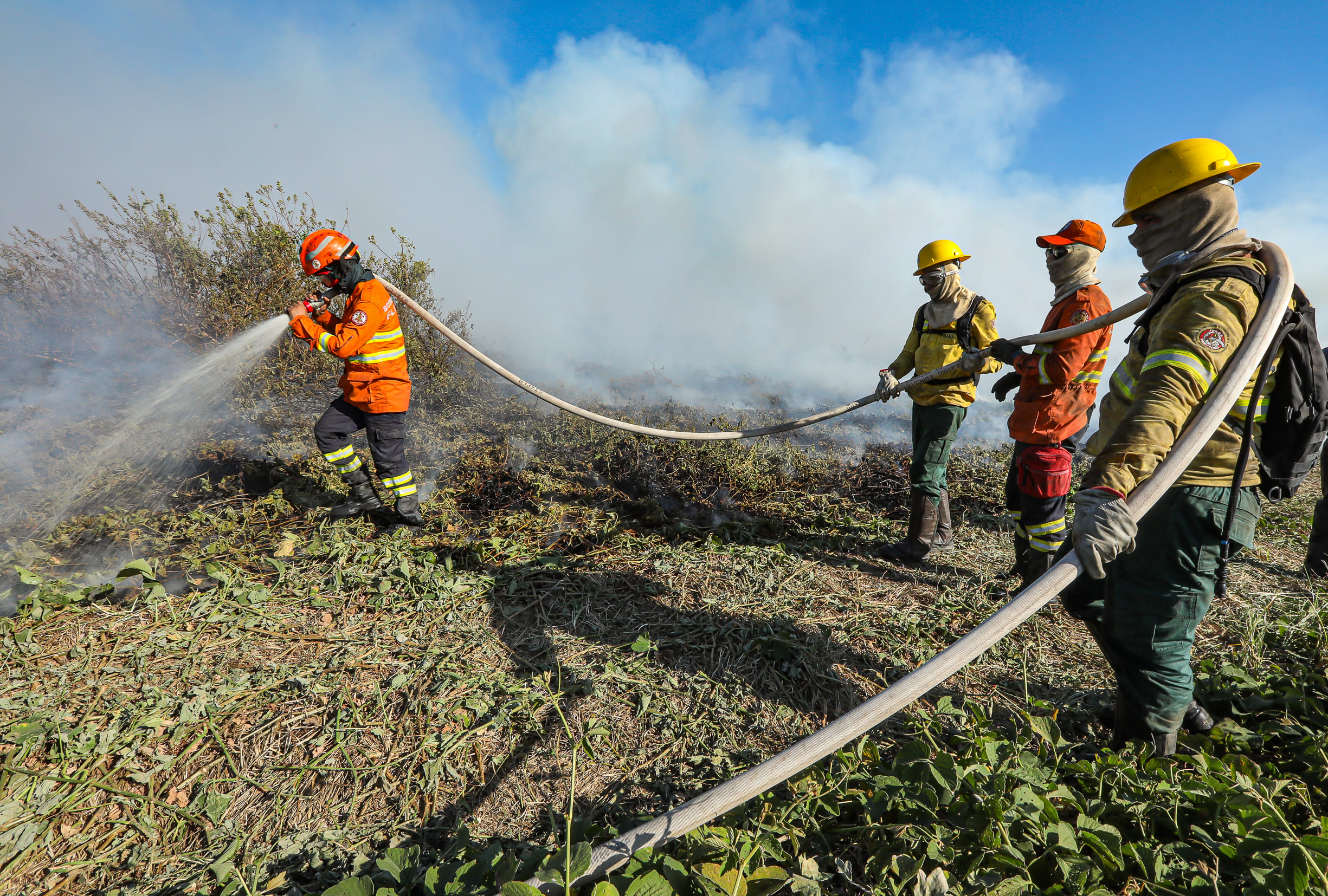 Bombeiros combateram 22 incêndios florestais em MT no domingo (20)