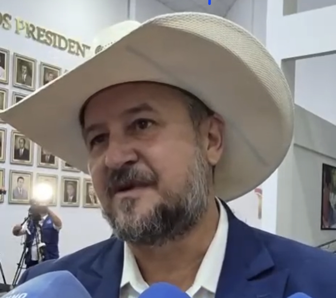 Cattani diz que Mauro não tem perfil ideológico para o Senado e cobra enfrentamento ao STF