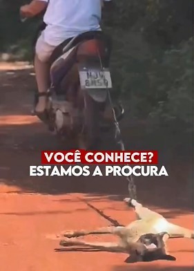 Crueldade em Várzea Grande: homem arrasta gato amarrado a moto e revolta moradores