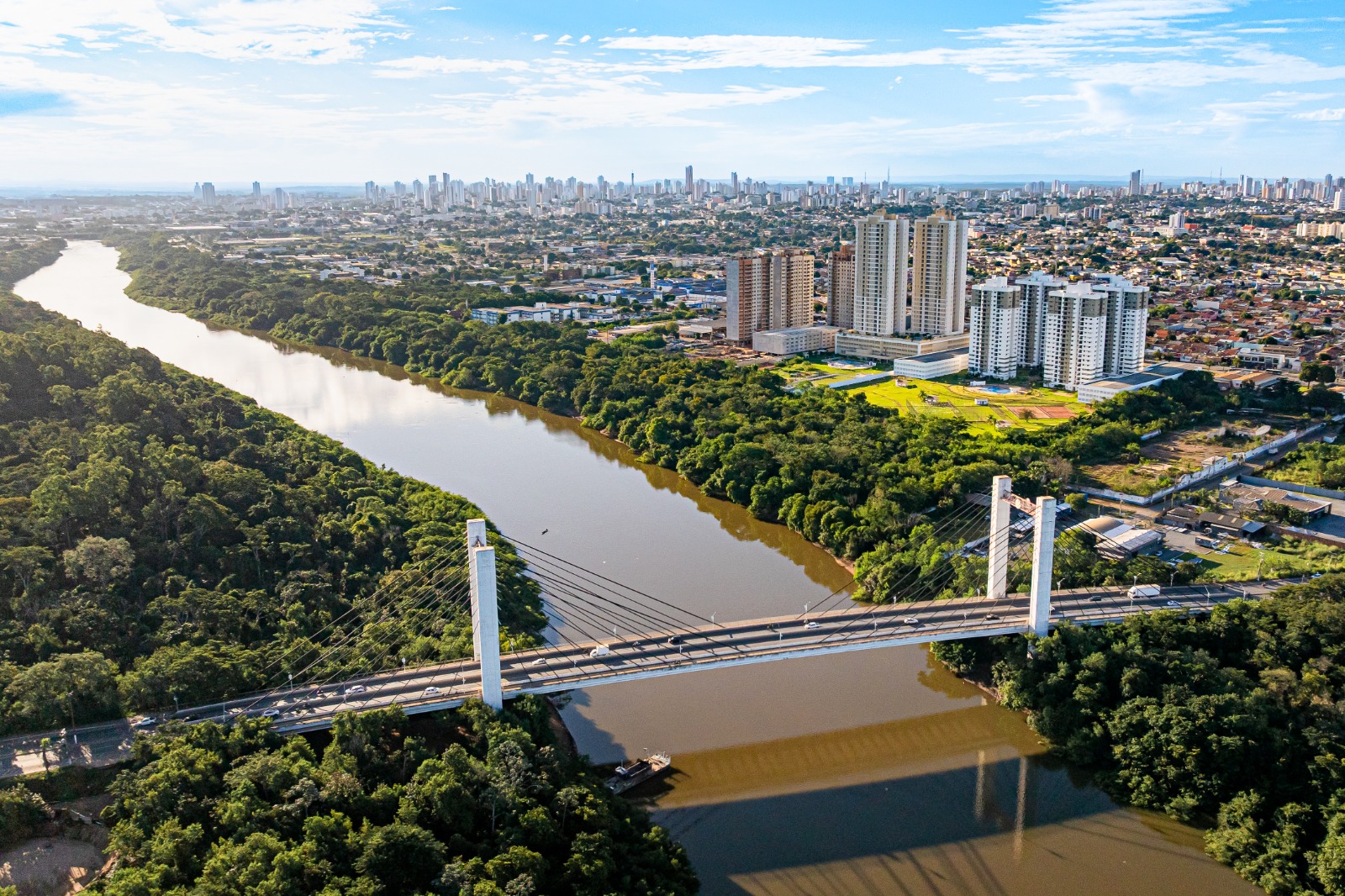 Cuiabá endurece regras para manejo arbóreo e proíbe podas drásticas na capital