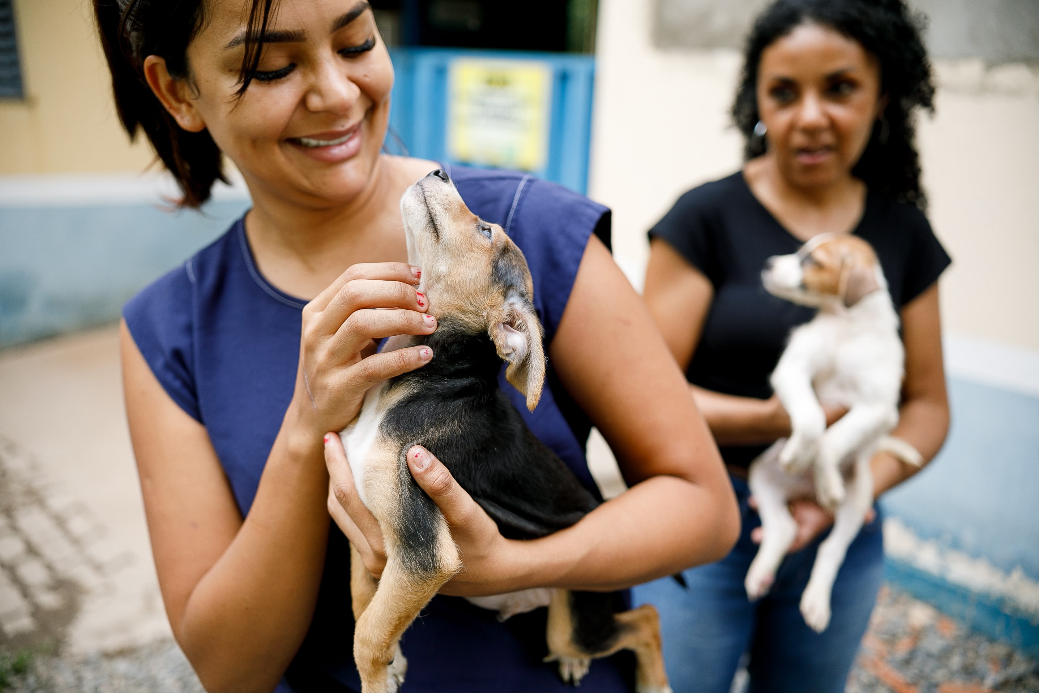 Cuiabá fortalece vigilância epidemiológica e ambiental para controlar zoonoses no município