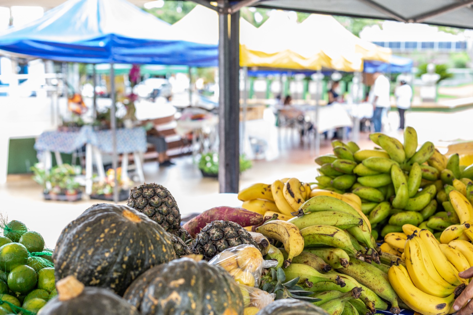 Feira Gastronômica na Praça Alencastro recebe mais de 60 expositores nesta terça-feira em Cuiabá