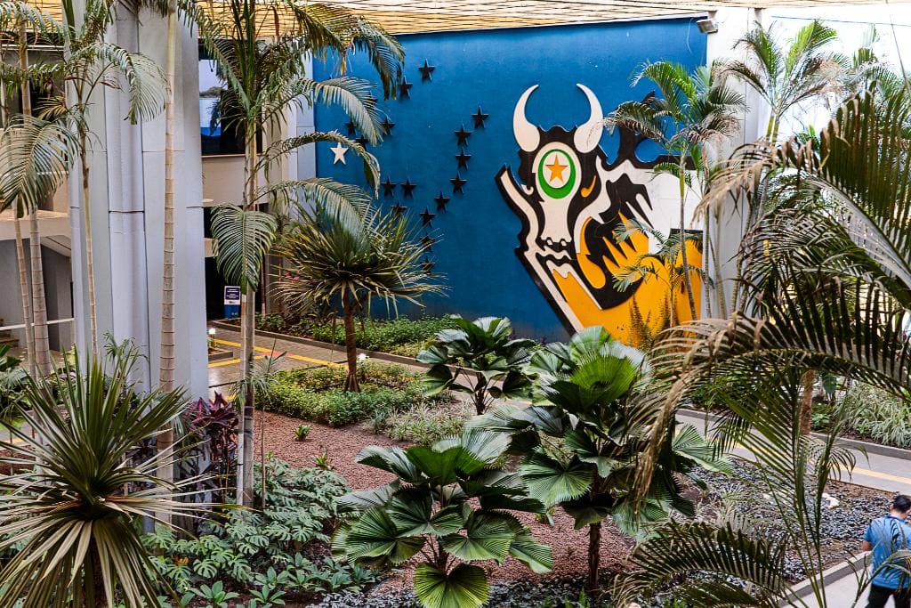 Governo do estado lança programa Mato Grosso em Defesa das Mulheres