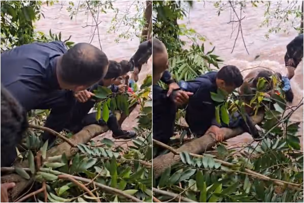 Heróis de Farda: Policiais salvam menino de 11 anos durante cabeça d’água em rio de Vila Bela