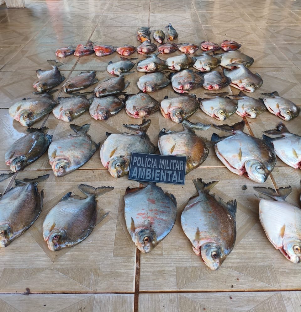 Homem é preso em flagrante com pescado ilegal