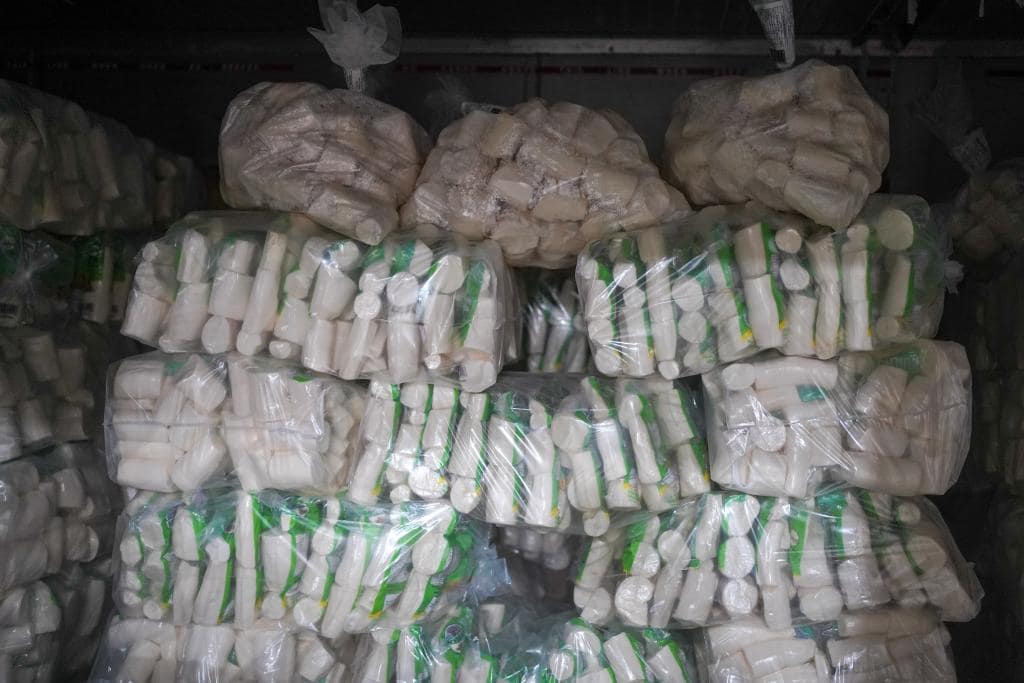 Investimentos do Governo de MT impulsionam produção de mandioca congelada