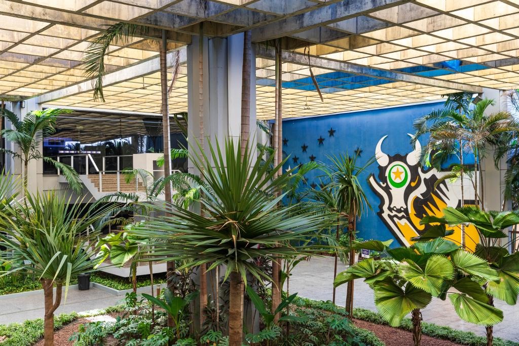 Mato Grosso reduz pobreza em mais de 300 mil pessoas desde 2019, aponta estudo com dados do IBGE