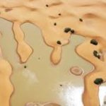 Água no deserto? Chuvas no Saara formam lagoas em volta de dunas Água no deserto? Chuvas no Saara formam lagoas em volta de dunas