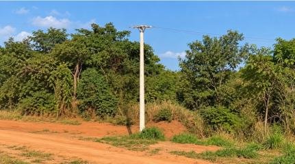 Homem morre eletrocutado ao colher bambu em propriedade rural de Campo Verde