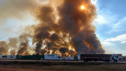 Mato Grosso enfrenta aumento recorde de focos de calor com 109% de crescimento em agosto