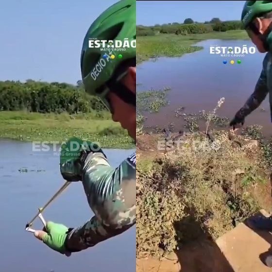 crime no pantanal 