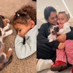 A família aumentou! Bruna Biancardi anuncia novo membro em residência com Neymar A família aumentou! Bruna Biancardi anuncia novo membro em residência com Neymar