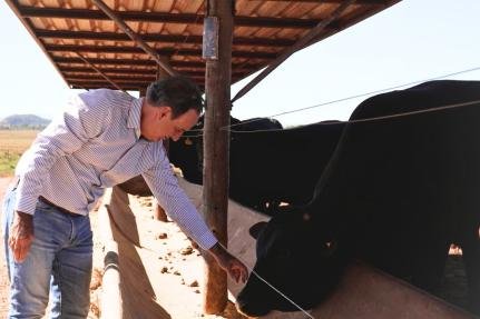 Mato Grosso lidera acesso ao Eco Invest 2 com financiamento inovador para pecuária sustentável