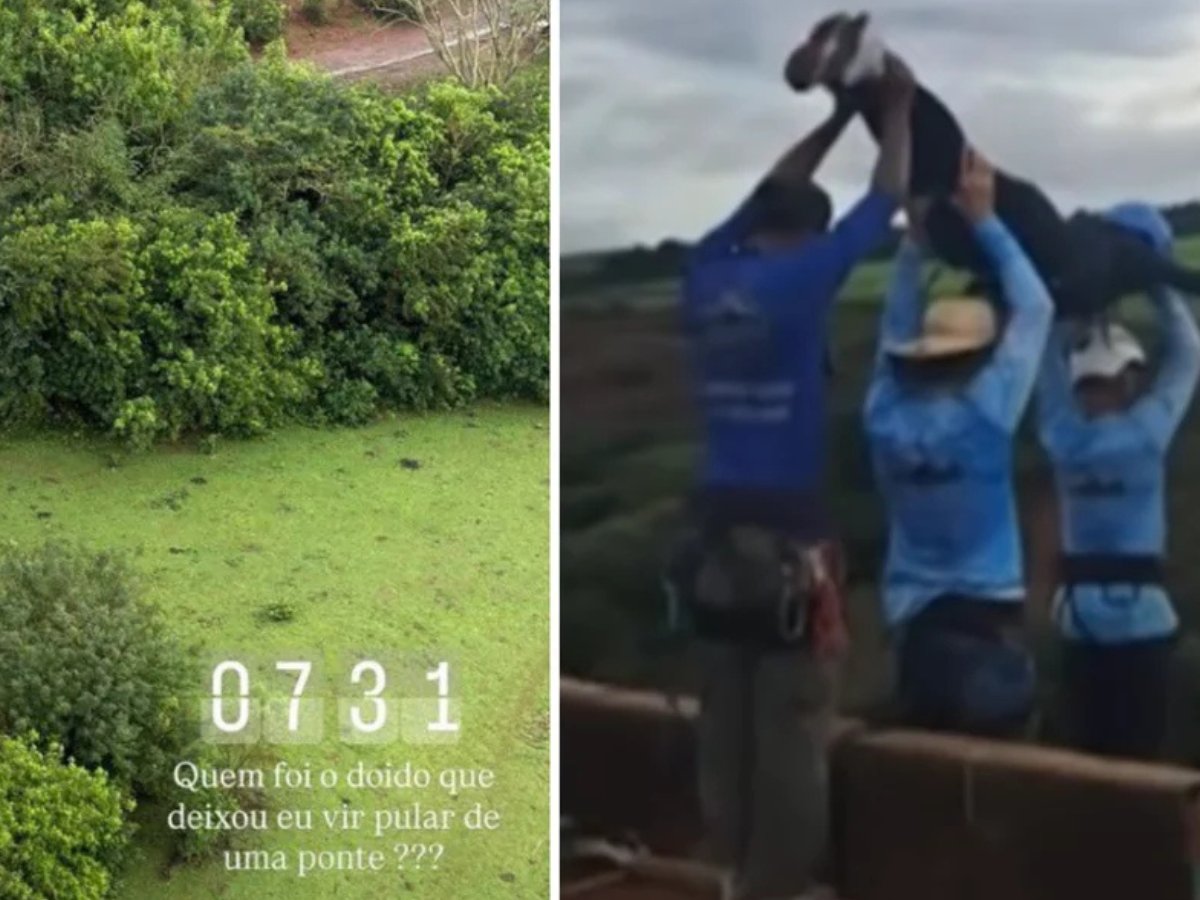 Reprodução: Instagram
