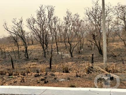 Bombeiros combatem dez incêndios florestais em Mato Grosso e mantêm situação controlada em dois municípios