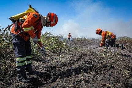 Bombeiros combatem incêndio florestal em Mato Grosso e realizam operações em seis municípios