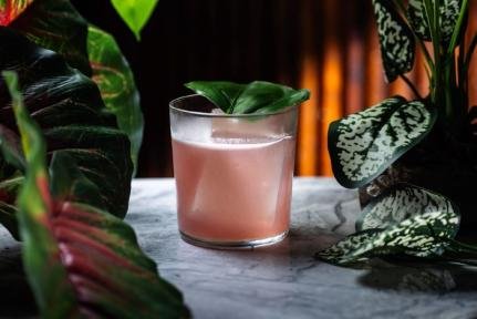 Harmonização de Coquetéis com Gastronomia: A Arte de Elevar Experiências Gastronômicas