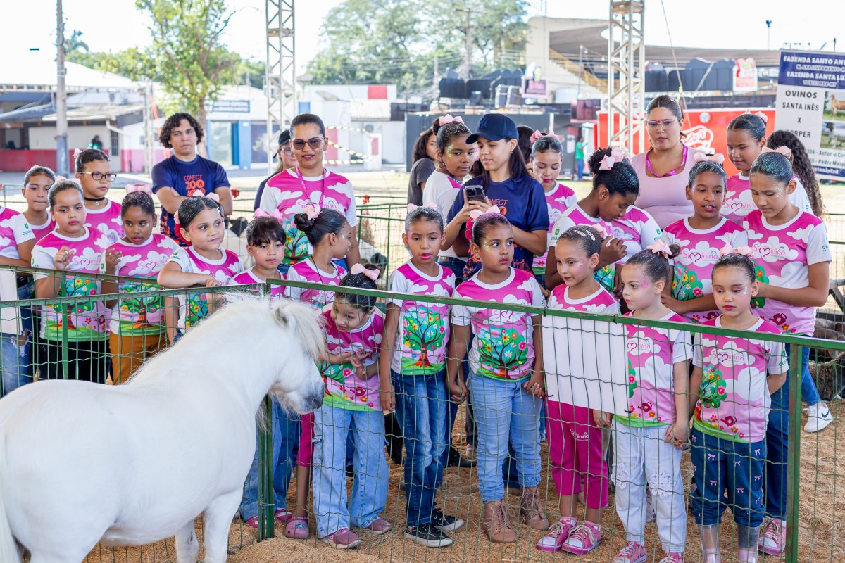 Programa Siminina leva meninas para conhecer mini animais e aprender sobre genética na Expoagro 2026