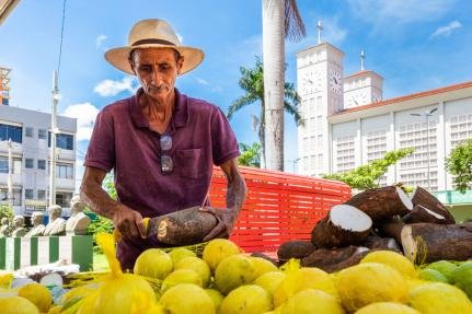 Feira Gastronômica e da Agricultura Familiar abre as portas terça-feira em Cuiabá