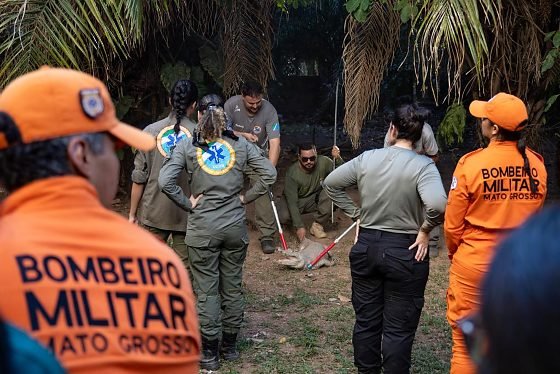 Sema finaliza treinamento de profissionais para resgate de fauna silvestre em desastres climáticos