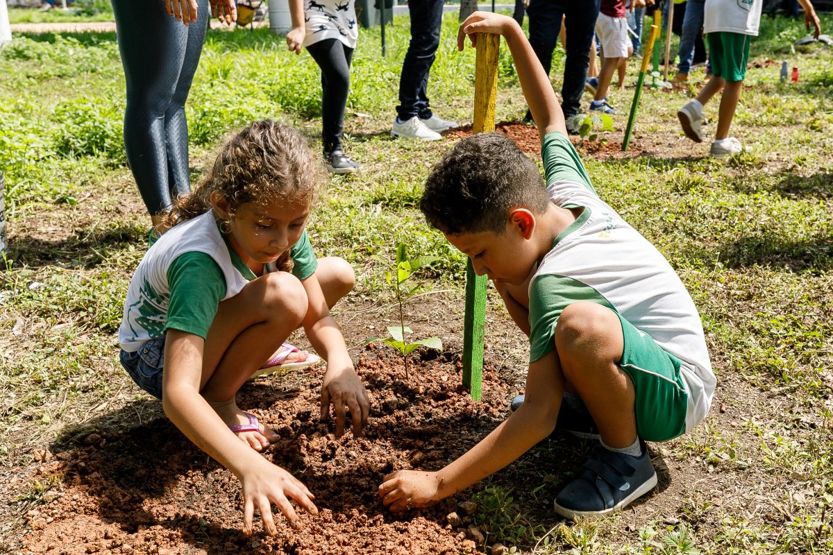 Campanha Craques da Natureza: Cuiabá convida famílias para plantar árvores no Parque Tia Nair