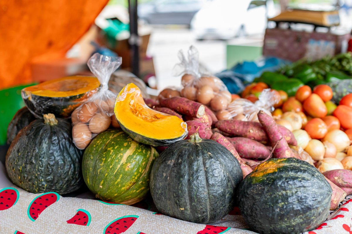 Feira de Agricultura Familiar na Praça Alencastro oferece produtos frescos e culinária artesanal em Cuiabá