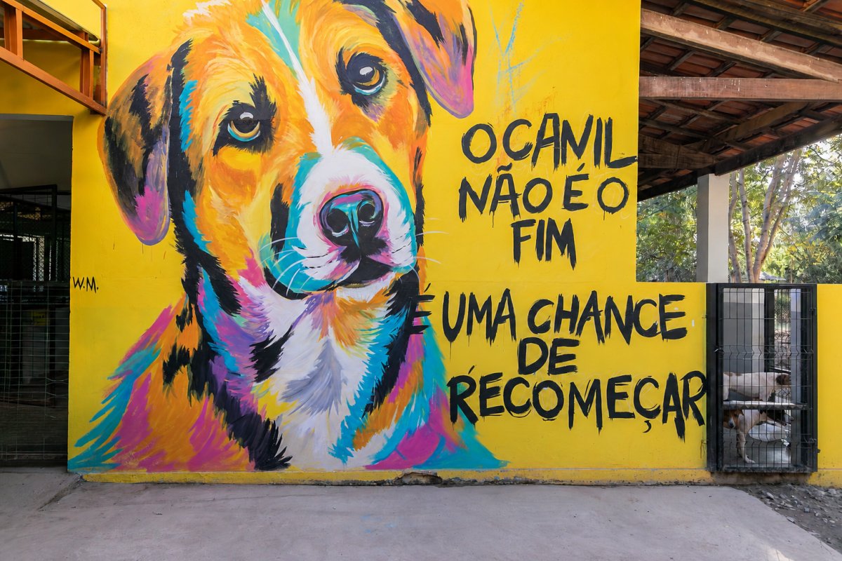 Cuiabá abre credenciamento para clínicas e hospitais veterinários ampliar atendimento animal