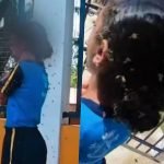 Motoboy leva 40 picadas ao salvar menina de ataque de abelhas em MG Motoboy leva 40 picadas ao salvar menina de ataque de abelhas em MG