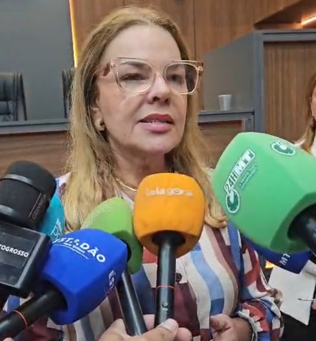 Paula Calil defende reeleição na Câmara e diz que decisão cabe ao plenário