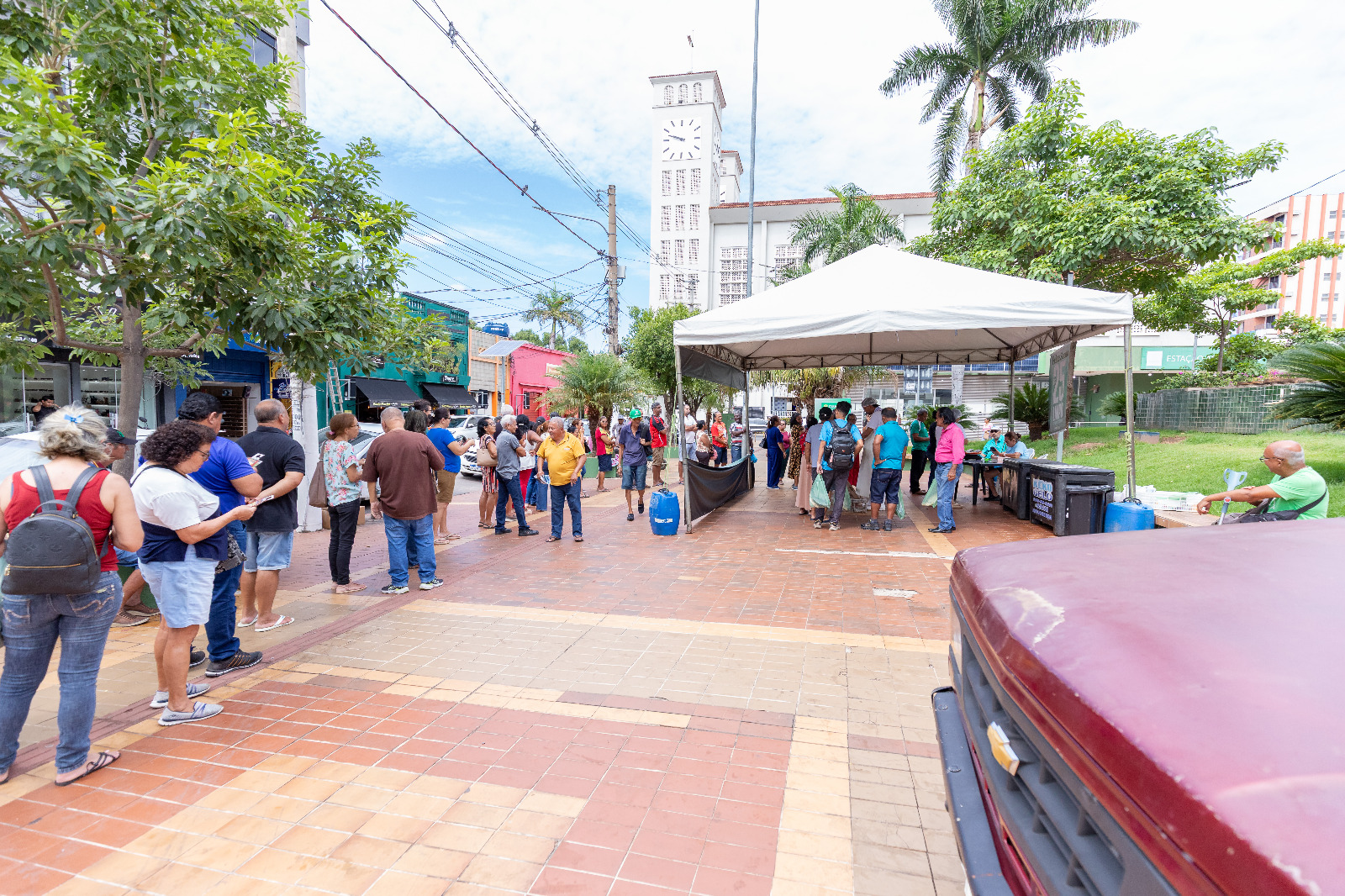 Peixe Santo esgota estoque após vender 45 toneladas e registra grande adesão popular