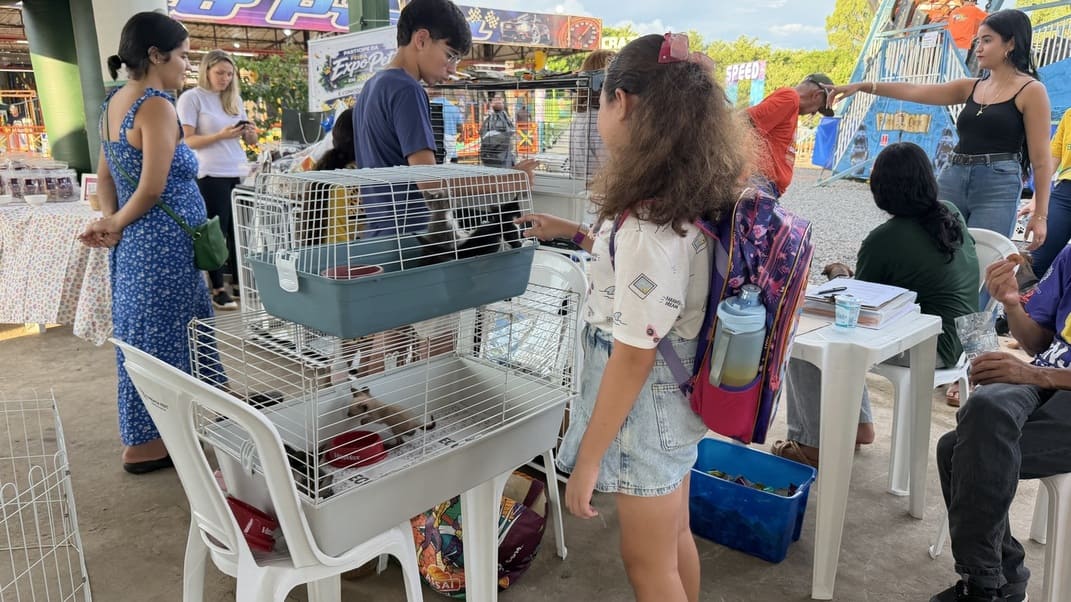 Procon de Cuiabá encerra mutirão com mais de 500 atendimentos e feira de adoção