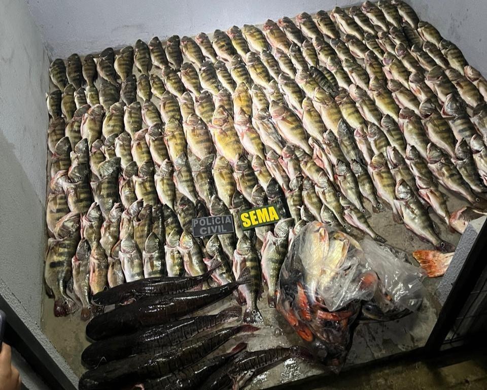 Sema apreende 184 peixes, carne de caça e aplica mais de R$ 53 mil em multas